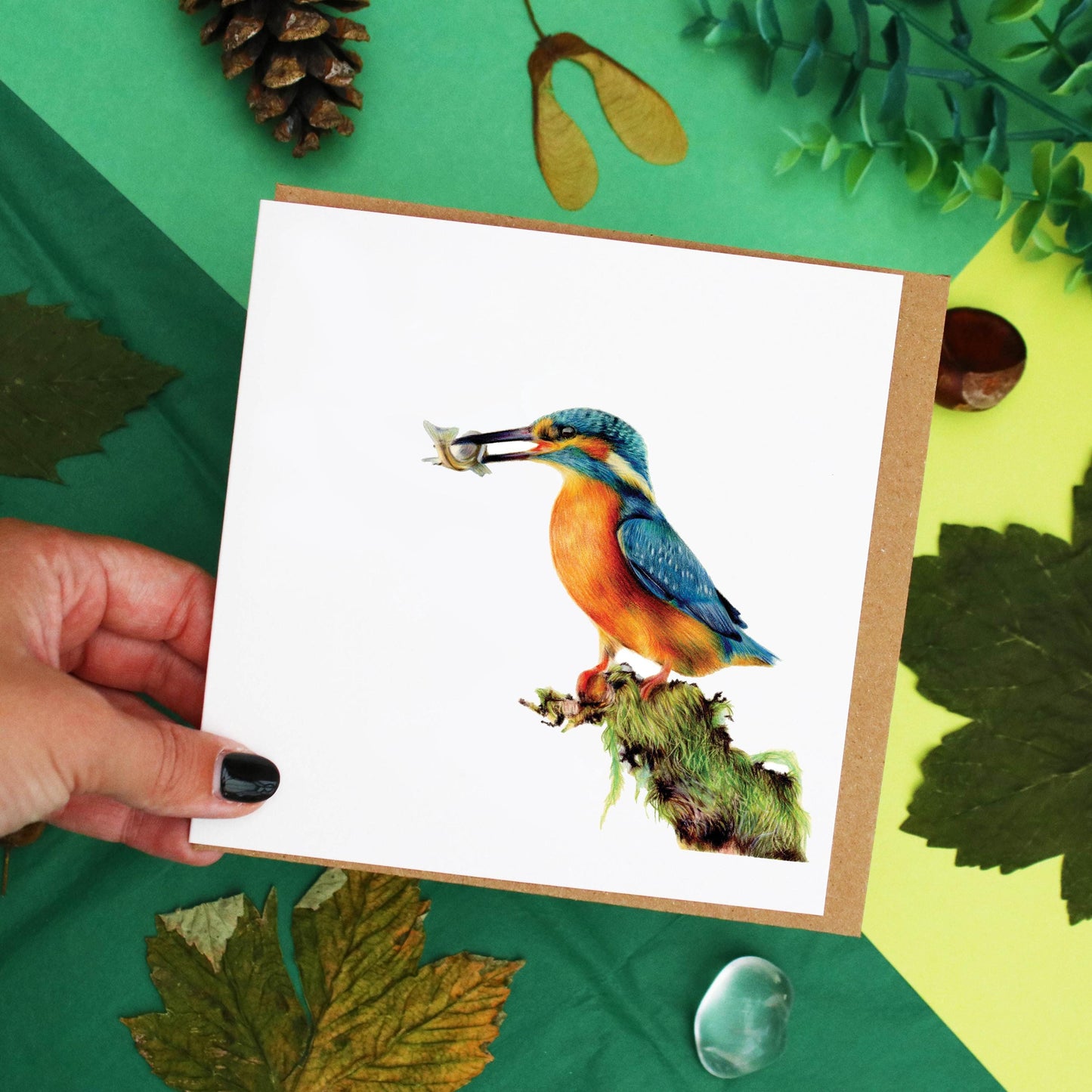 Kingfisher Card