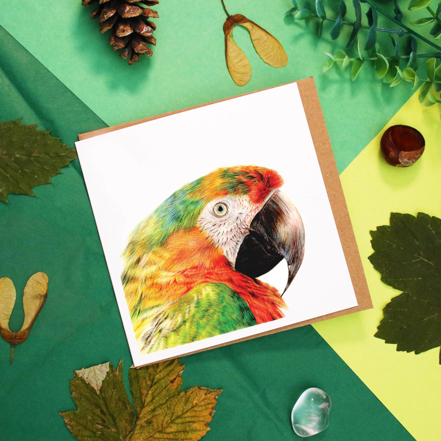 Macaw Card