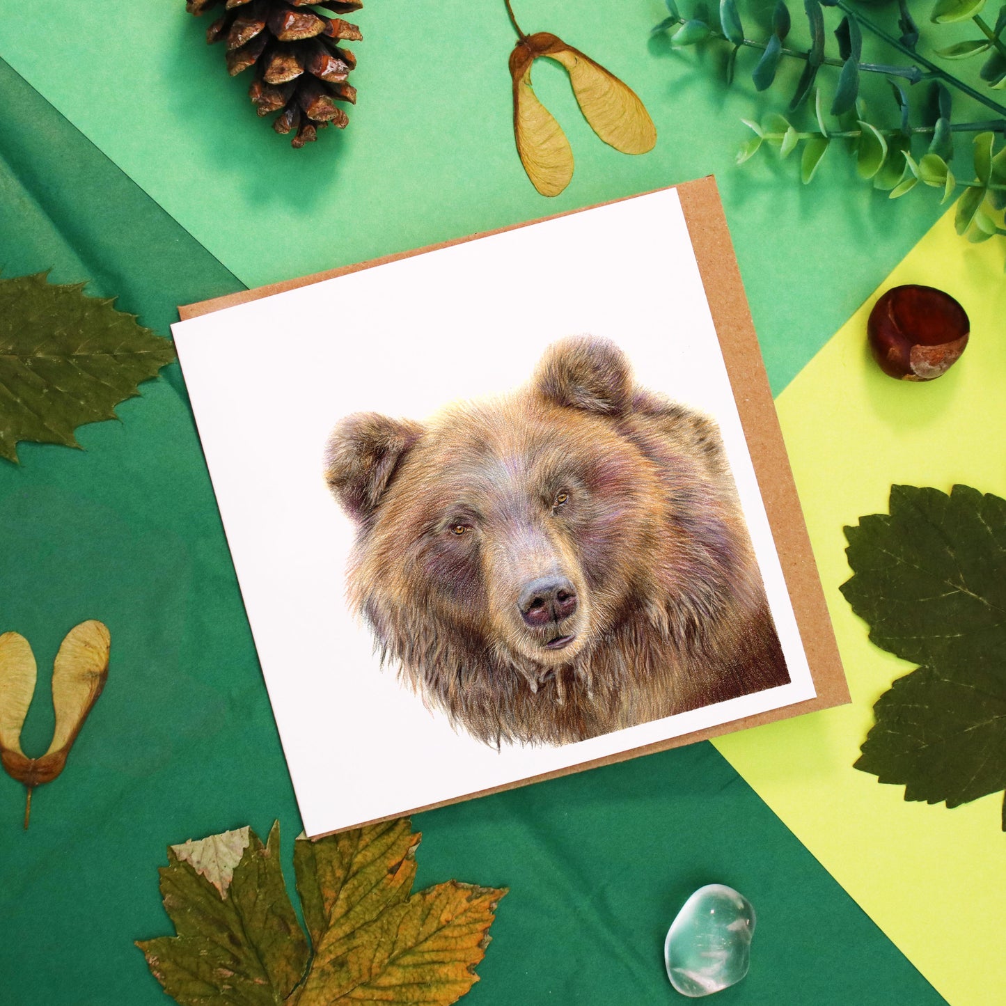Bear Card