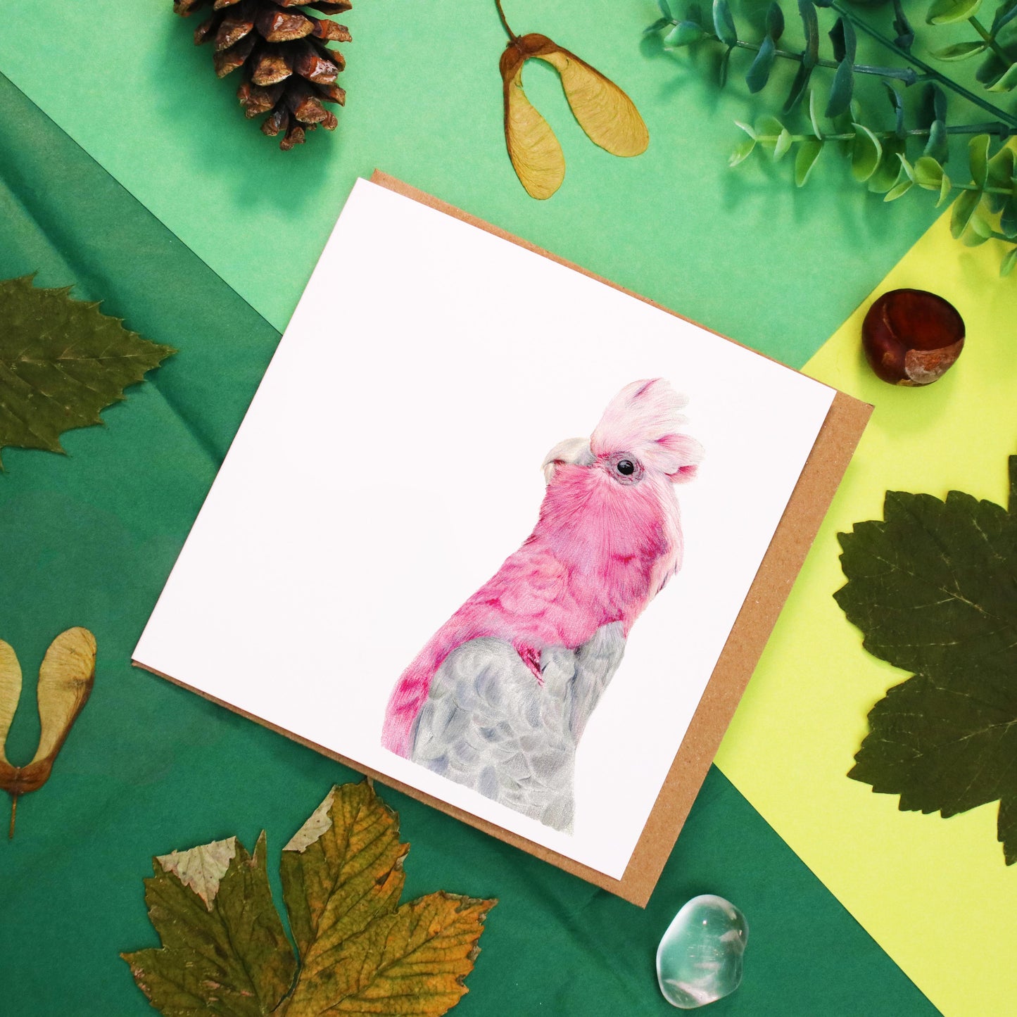 Galah Card