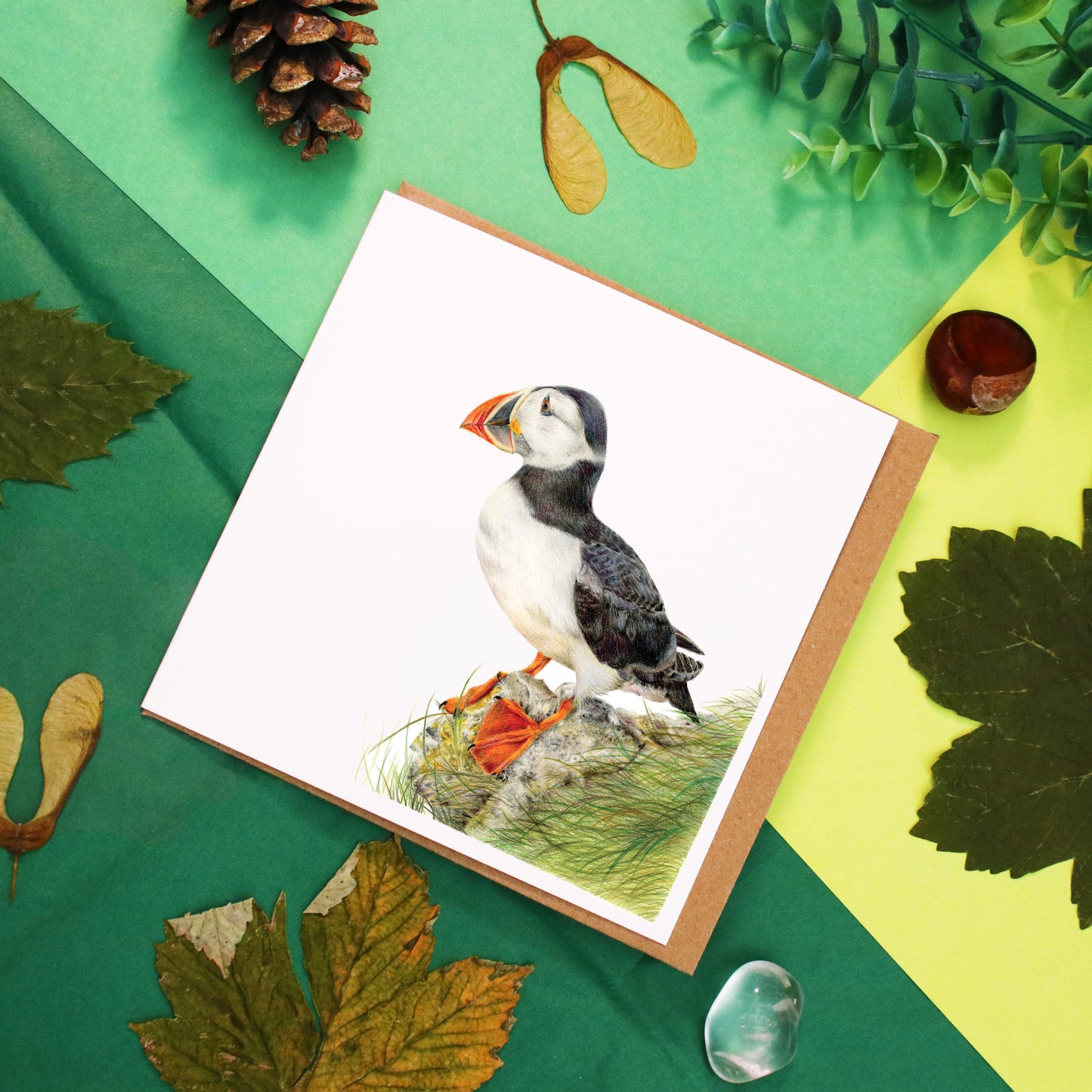 Puffin Card