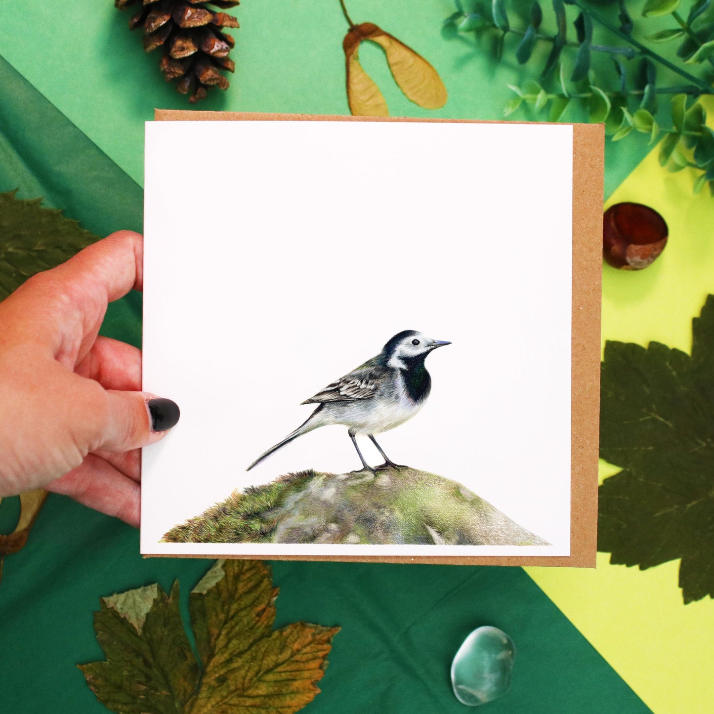 Wagtail Card