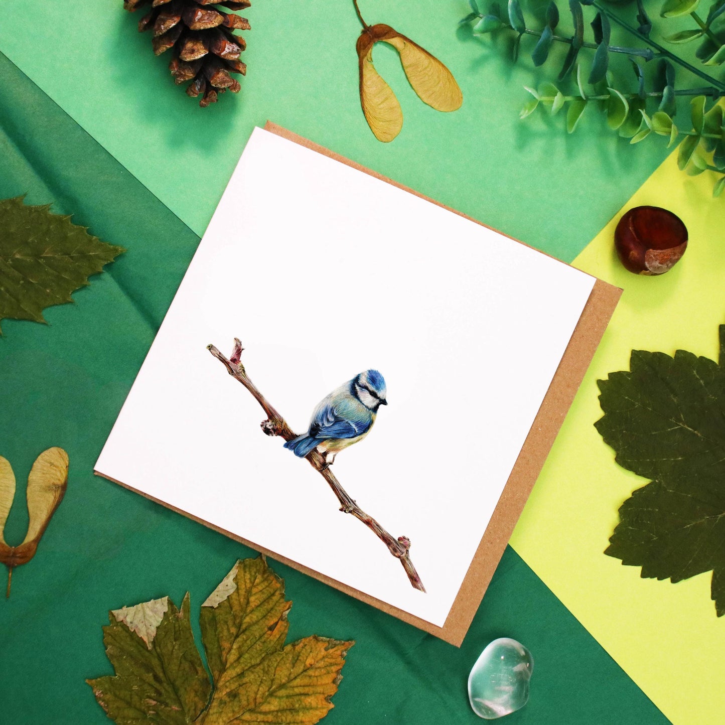 Blue Tit Card