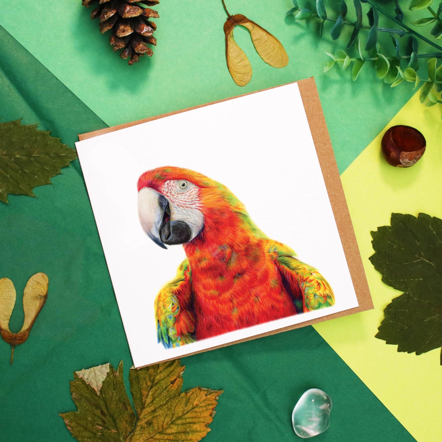 Macaw Card