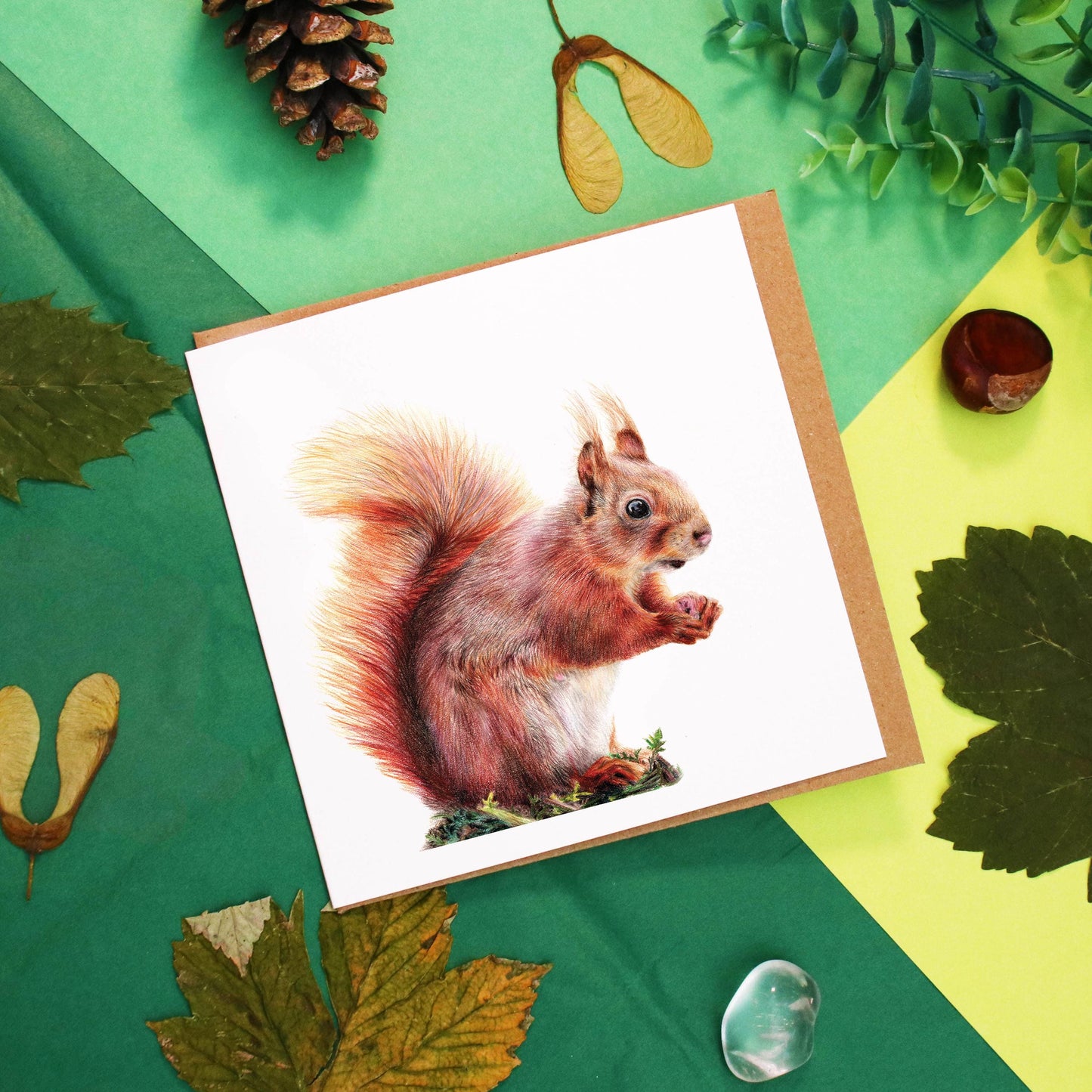 Red Squirrel Card