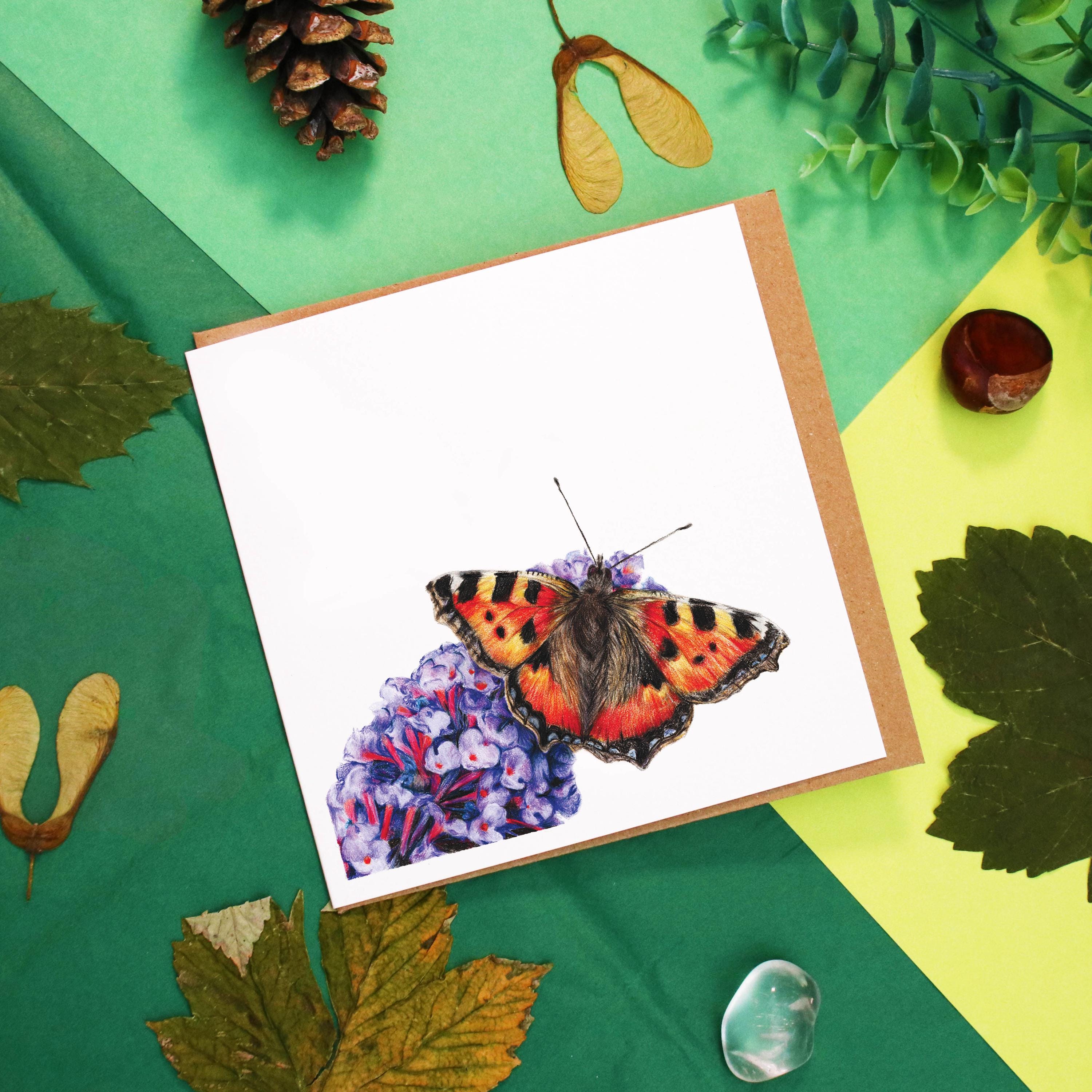 Tortoiseshell Butterfly Greetings Card – Amie Howard Art