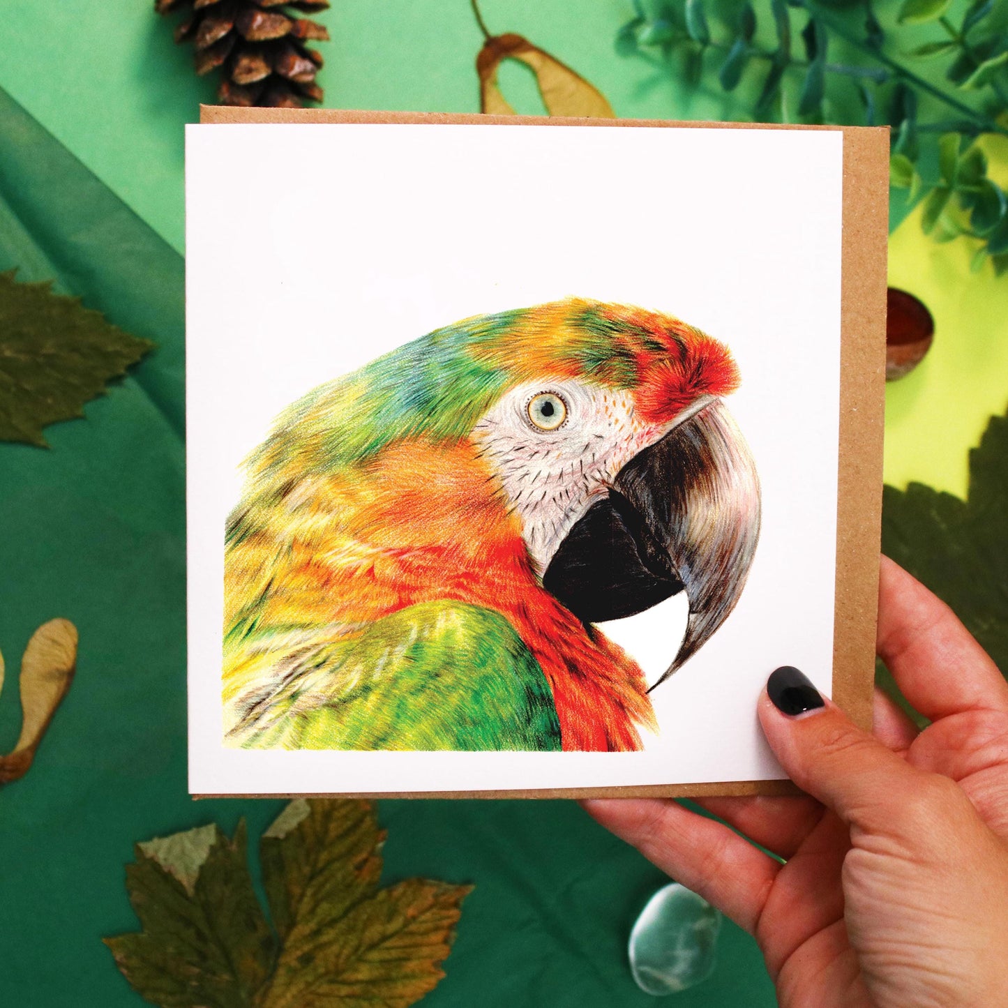 Macaw Card