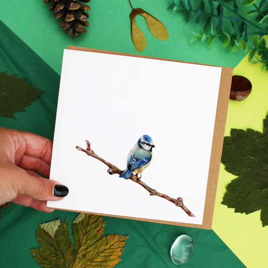 Blue Tit Card