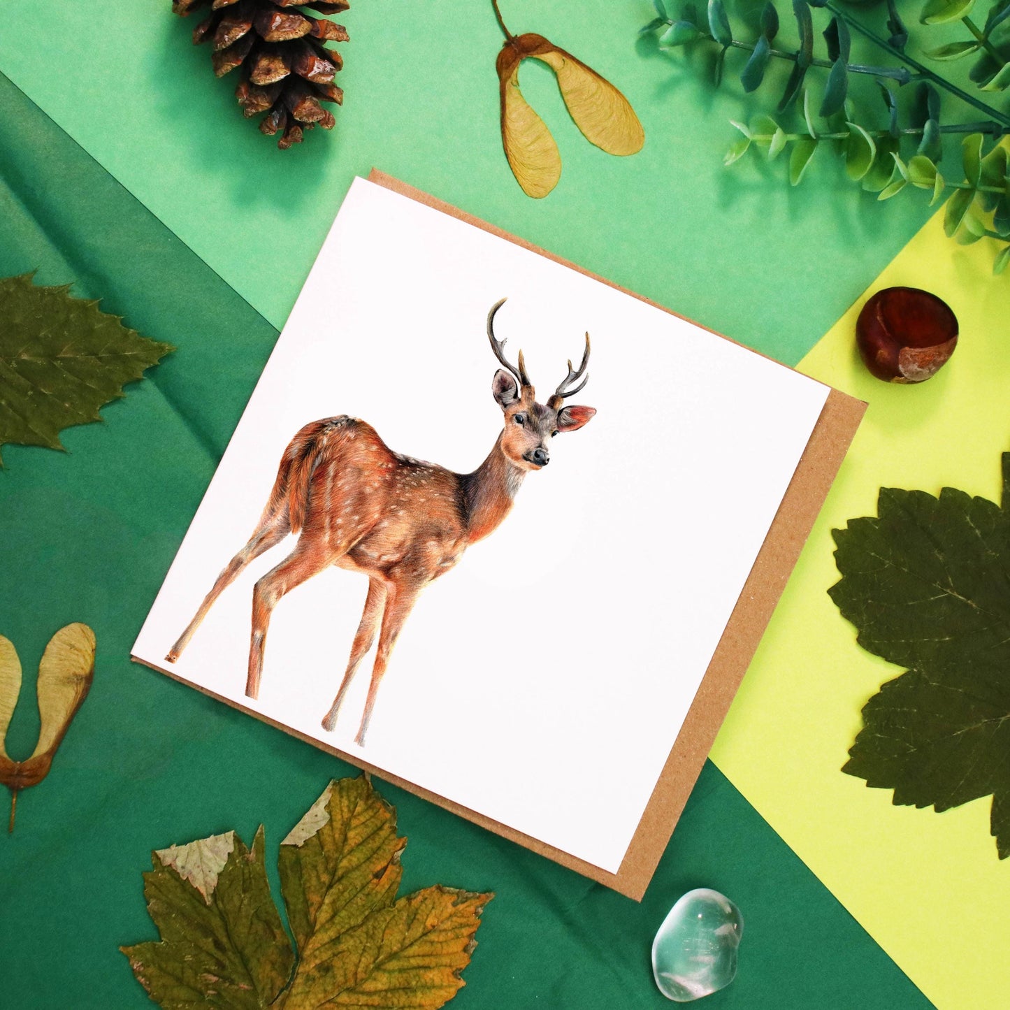 Deer Card