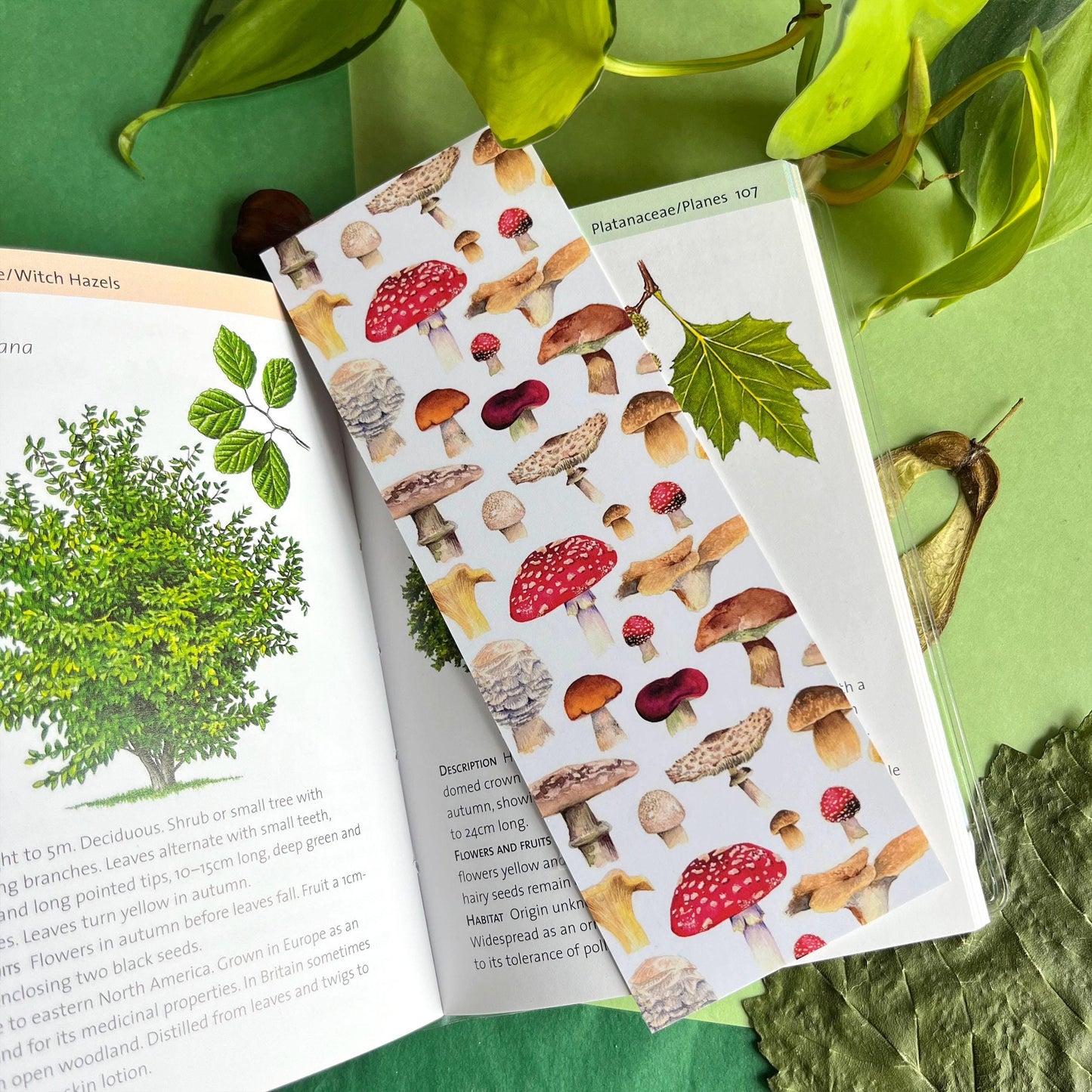 Mushroom Print Bookmark | Double Sided Fungi Gift