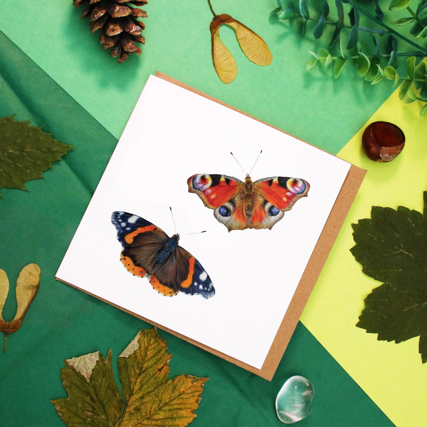 Butterfly Greetings Card