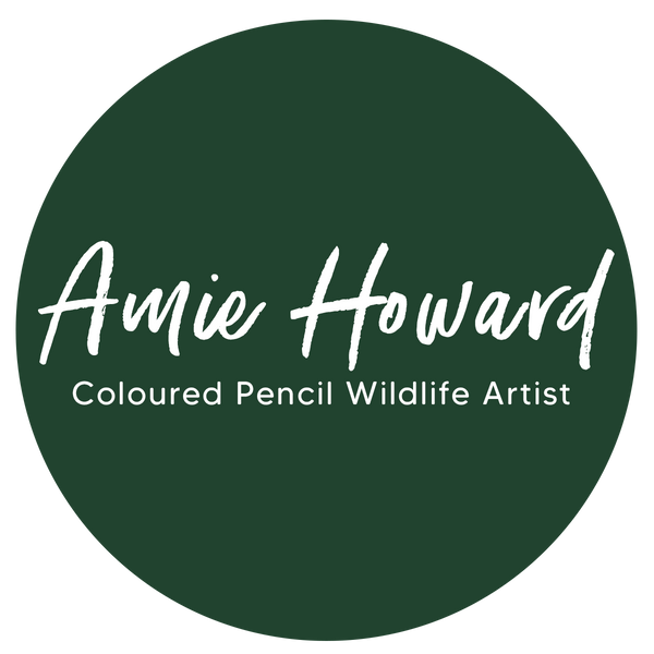 Amie Howard Art
