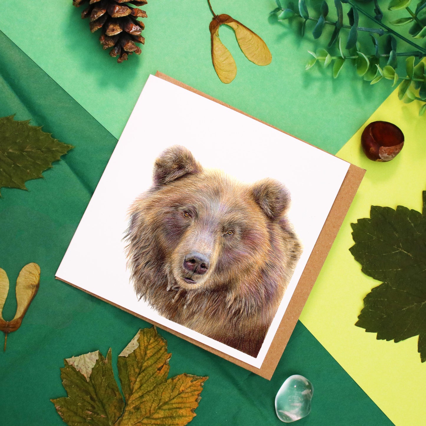 Bear Card