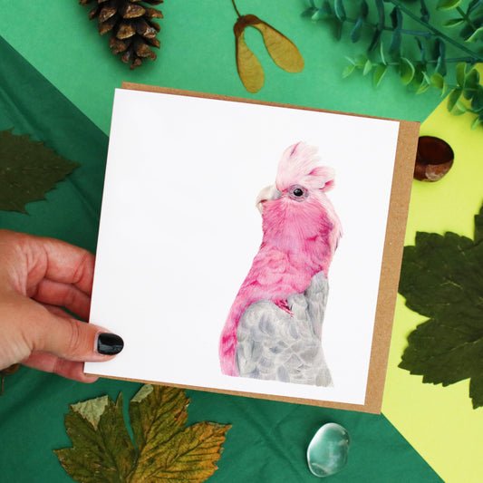 Galah Card