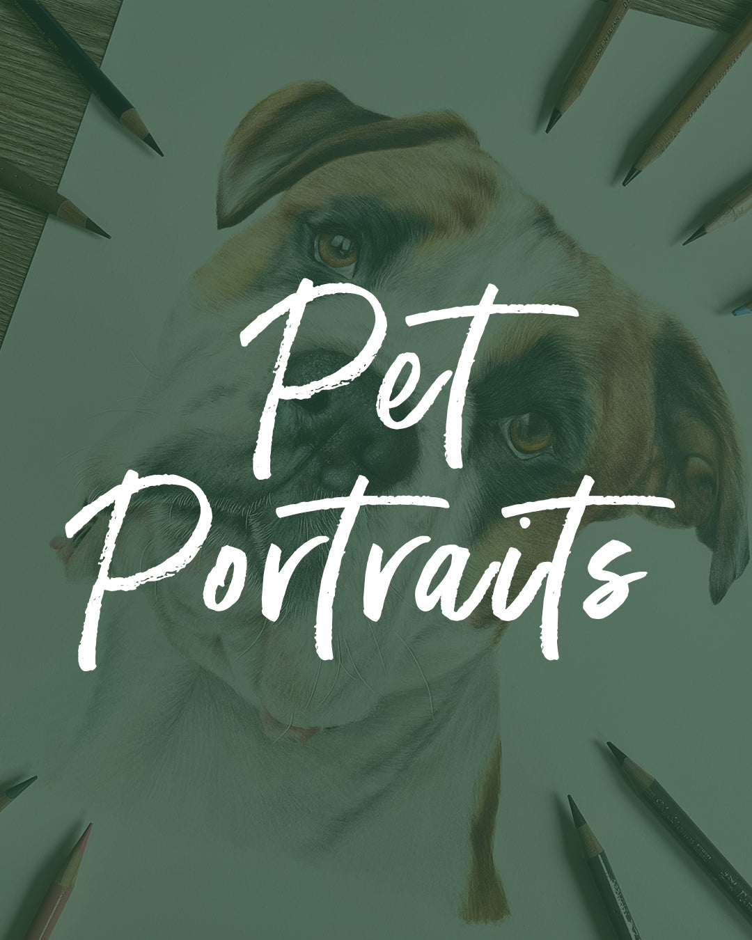 Pet Portrait Deposit