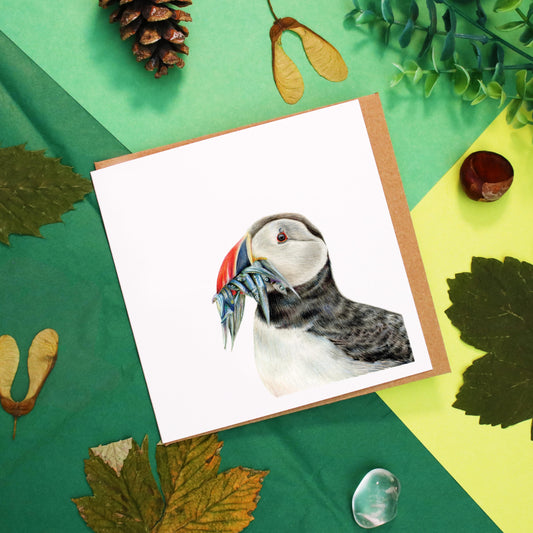 Puffin Card