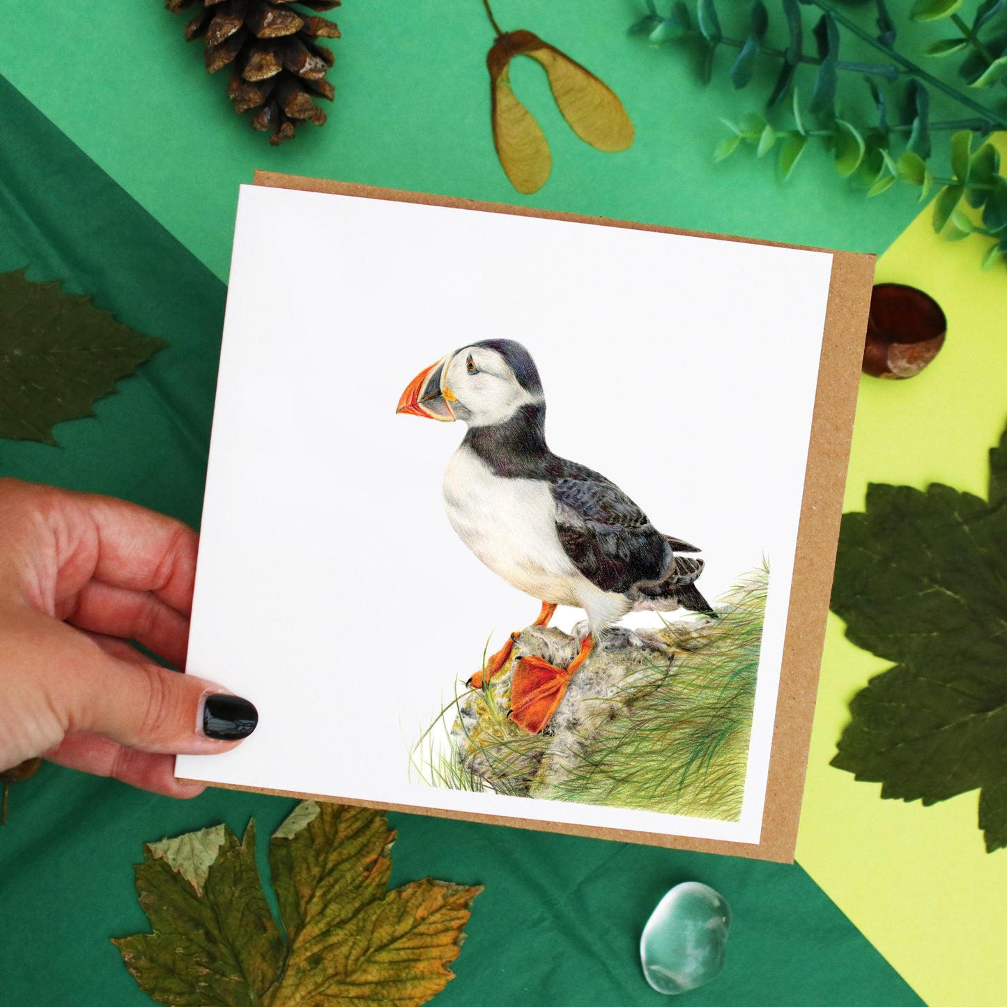 Puffin Card