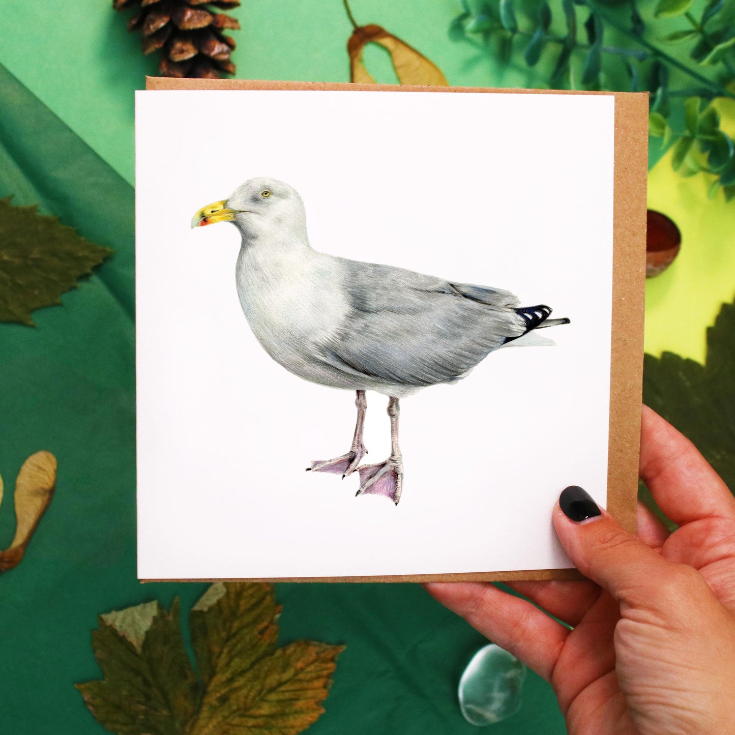 Seagull Card