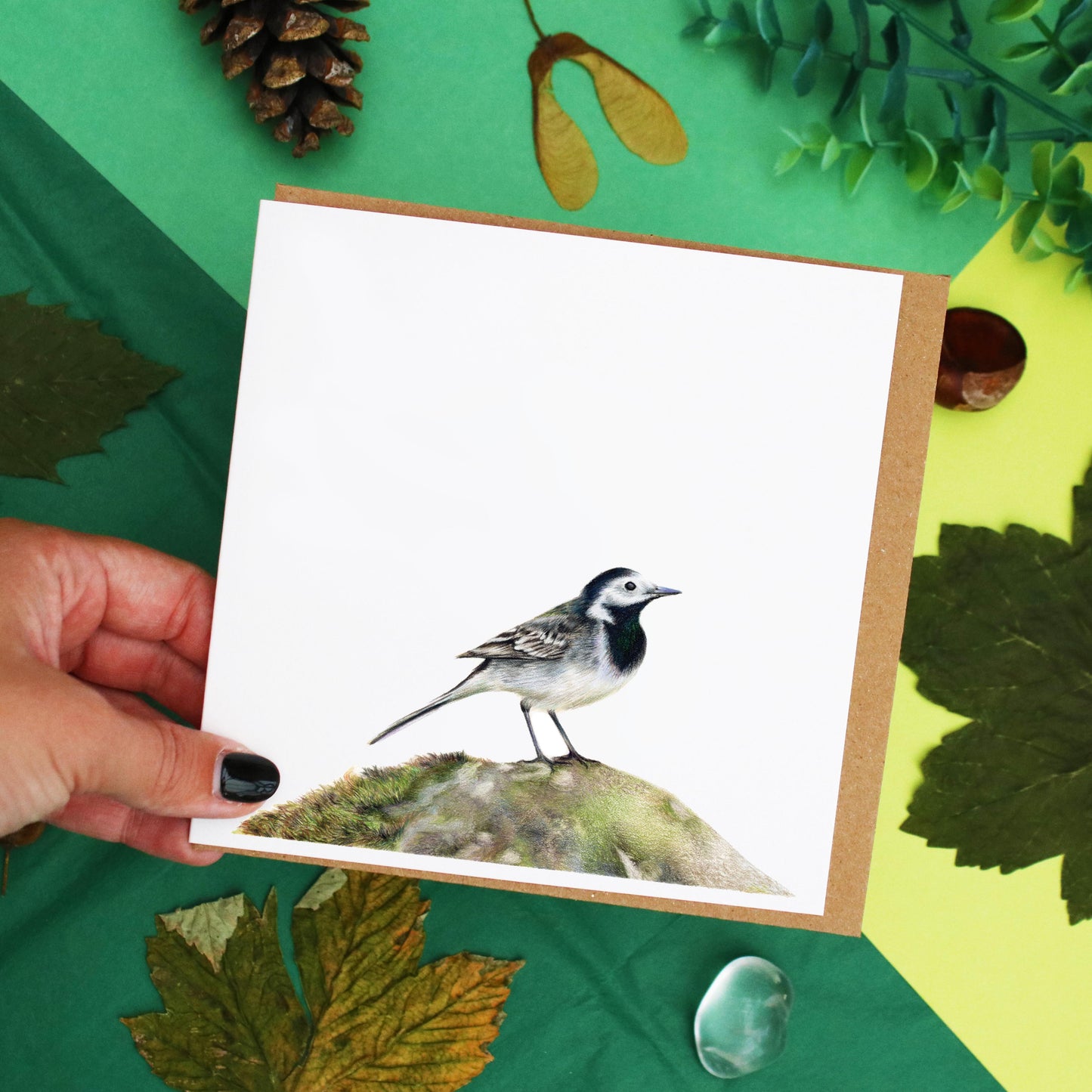 Wagtail Card