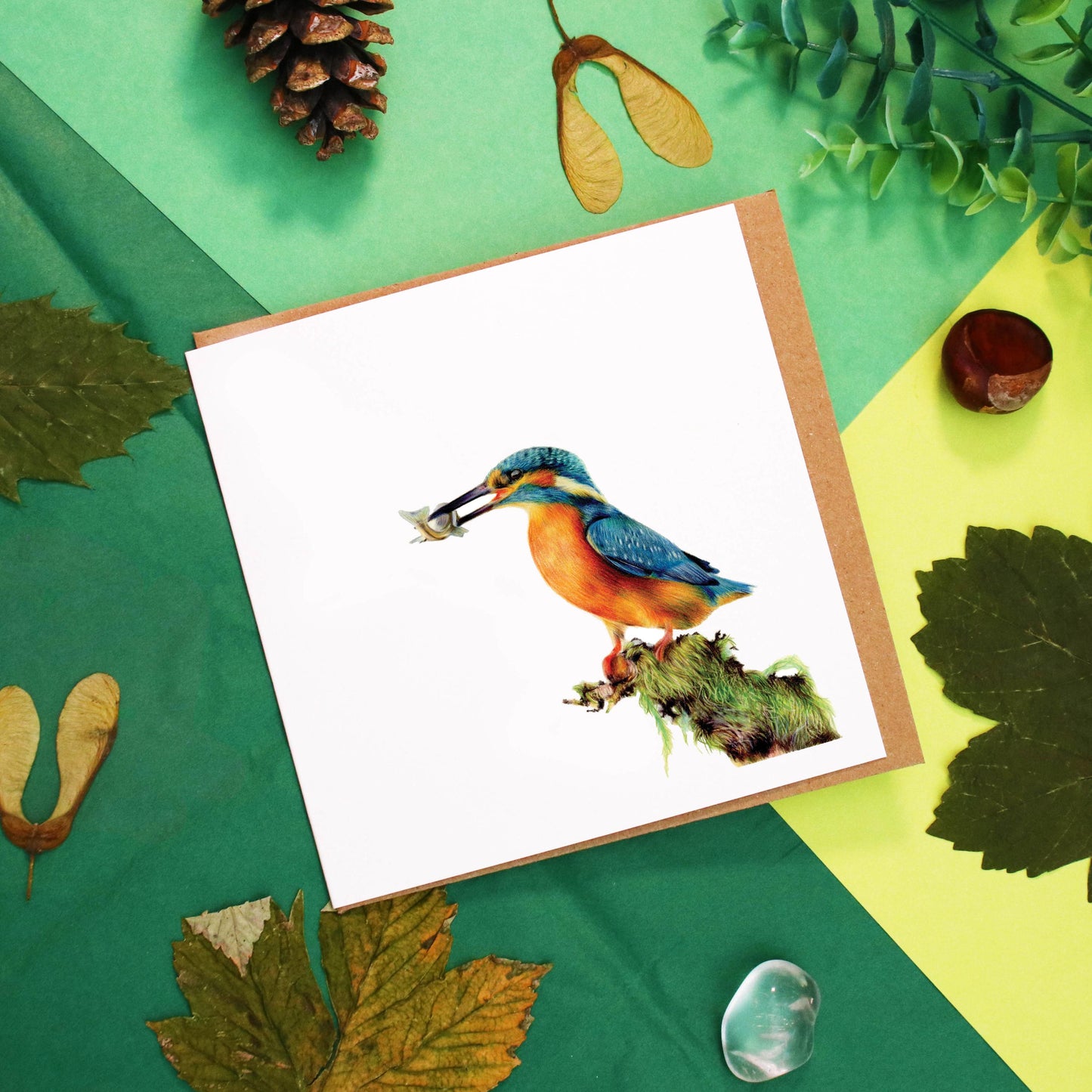 Kingfisher Card