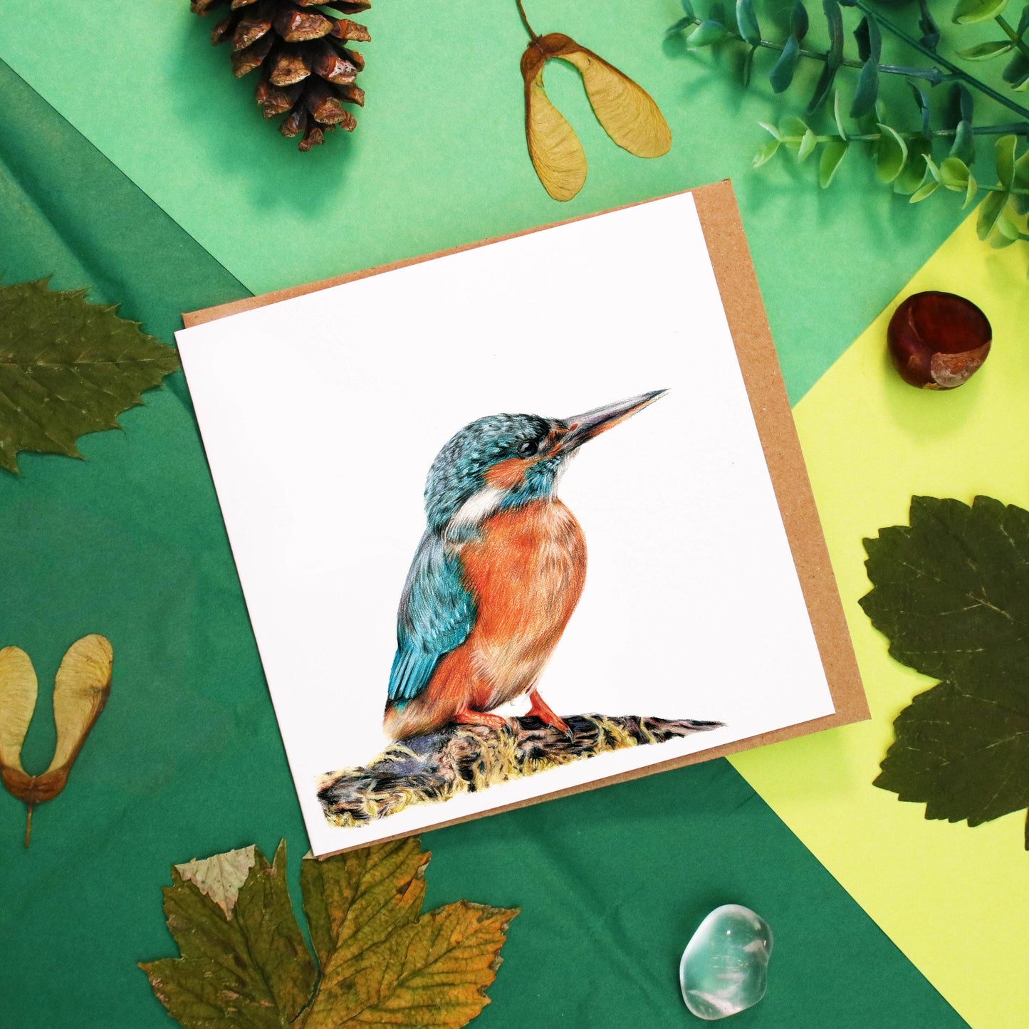 Kingfisher Card