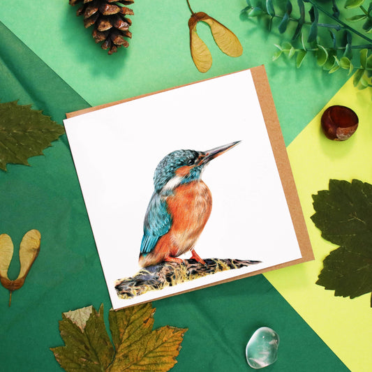 Kingfisher Card
