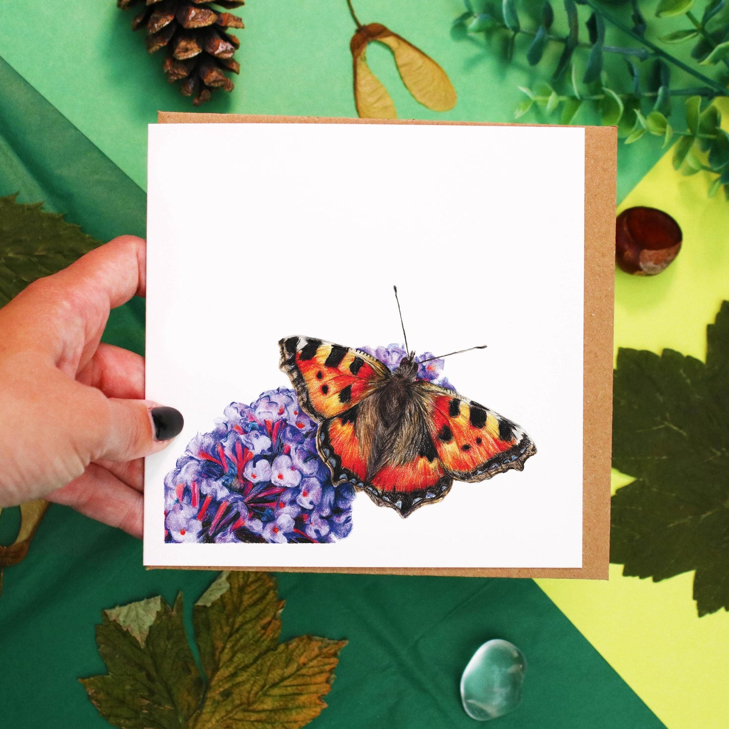 Tortoiseshell Butterfly Greetings Card